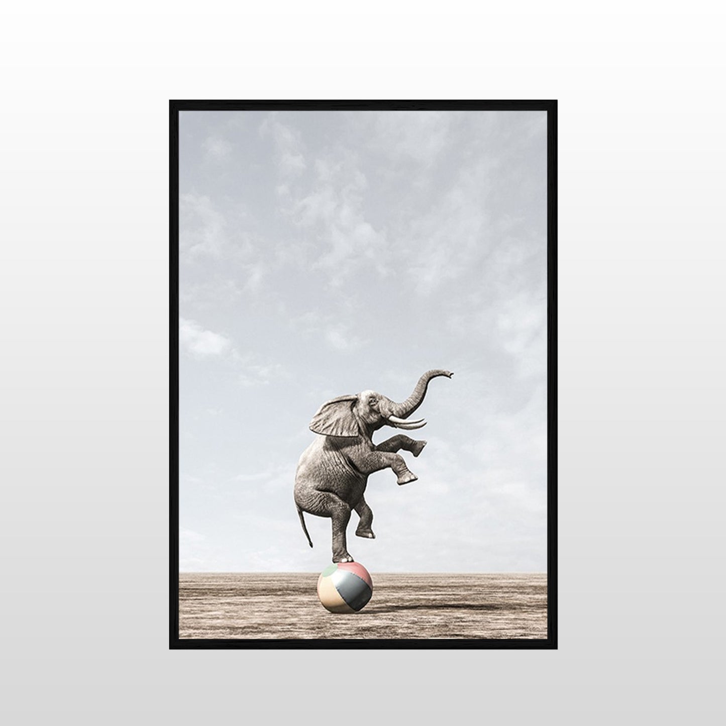 Circus