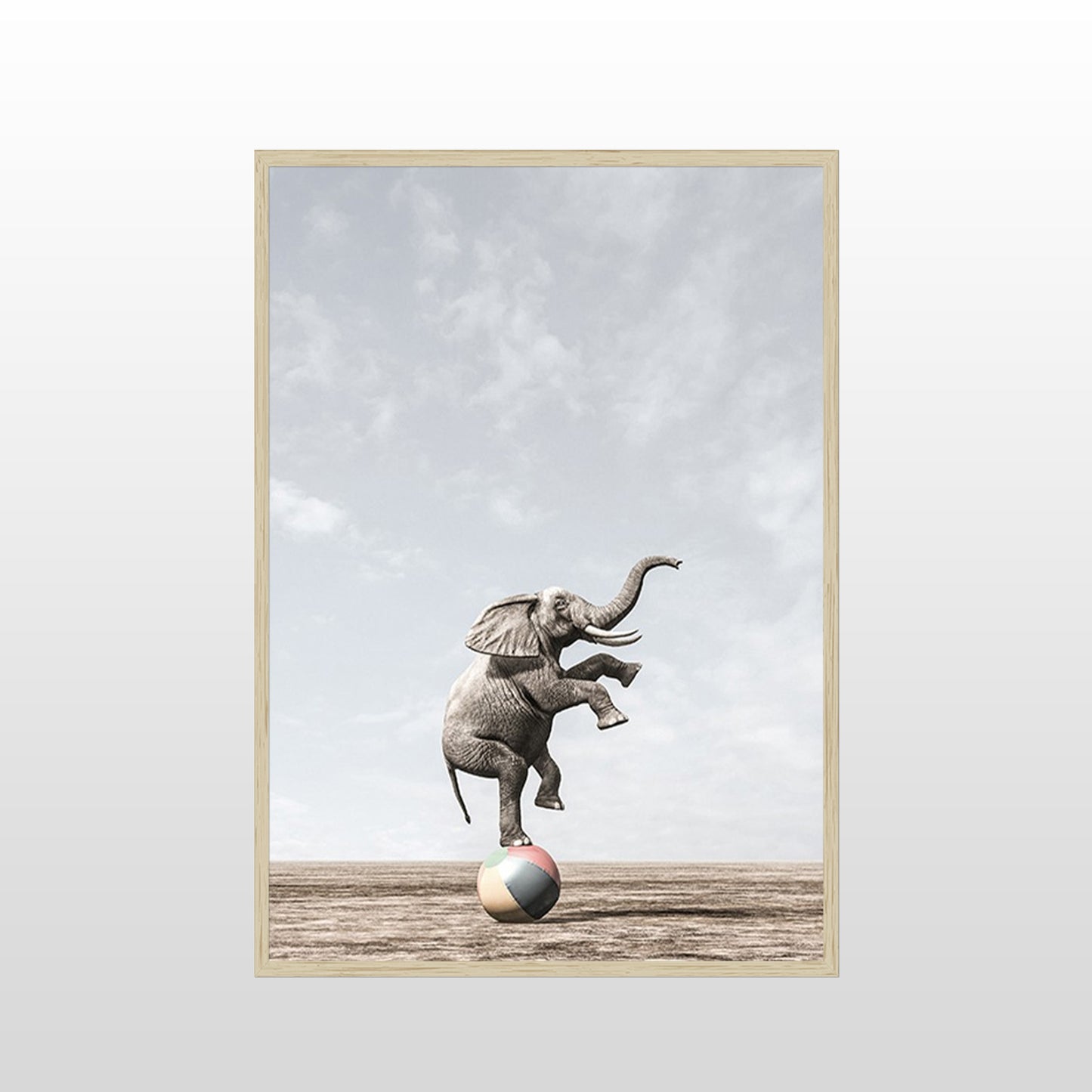 Circus