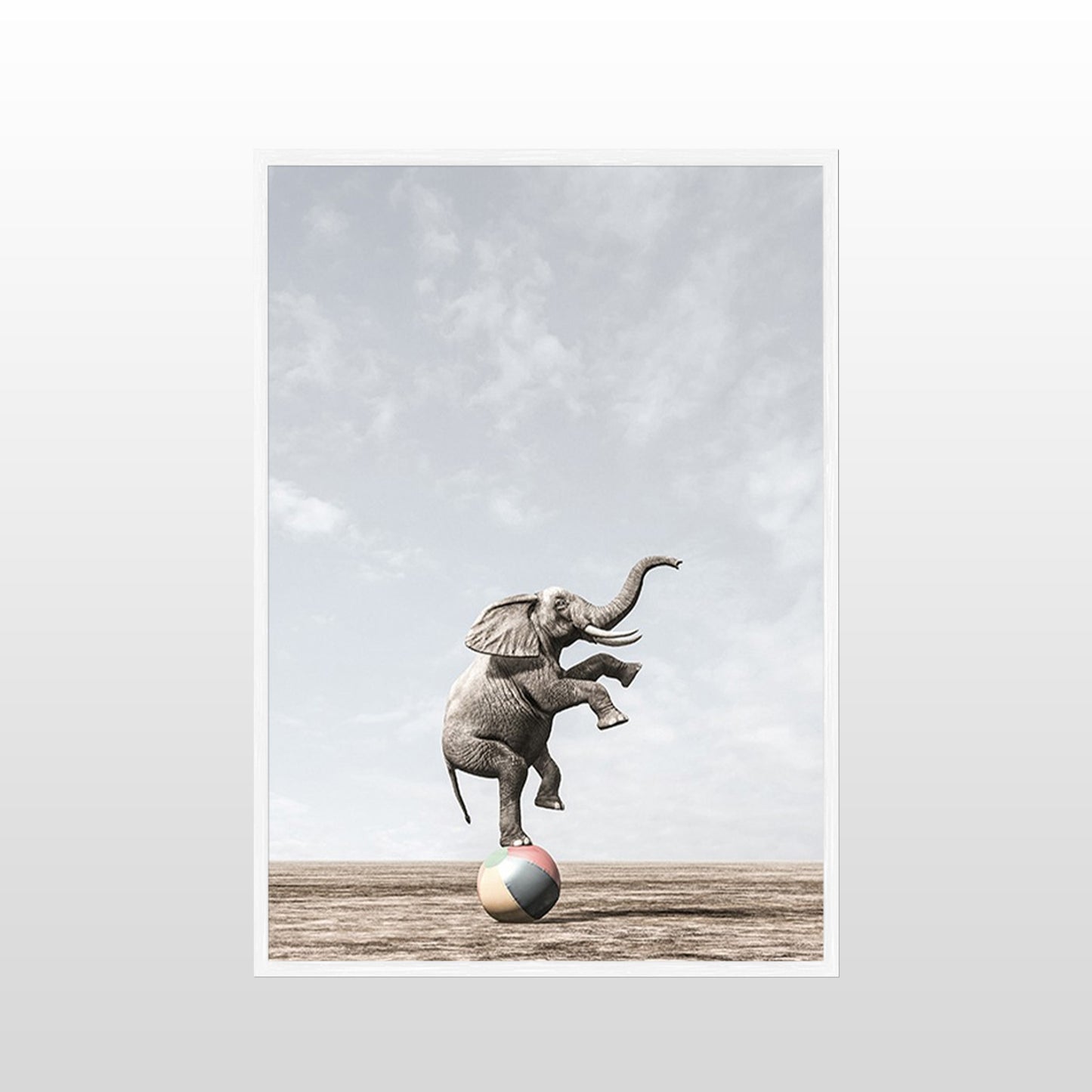 Circus