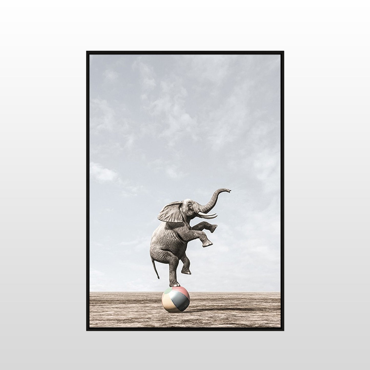 Circus