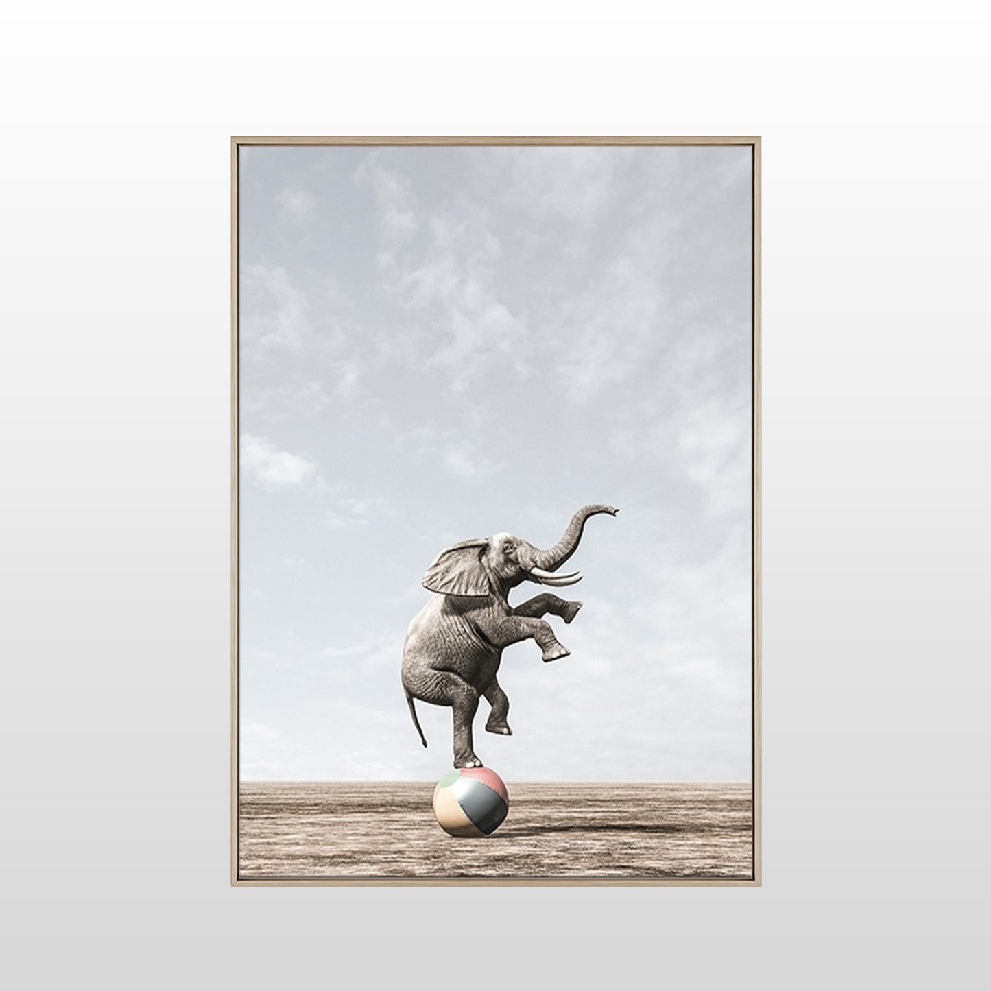 Circus