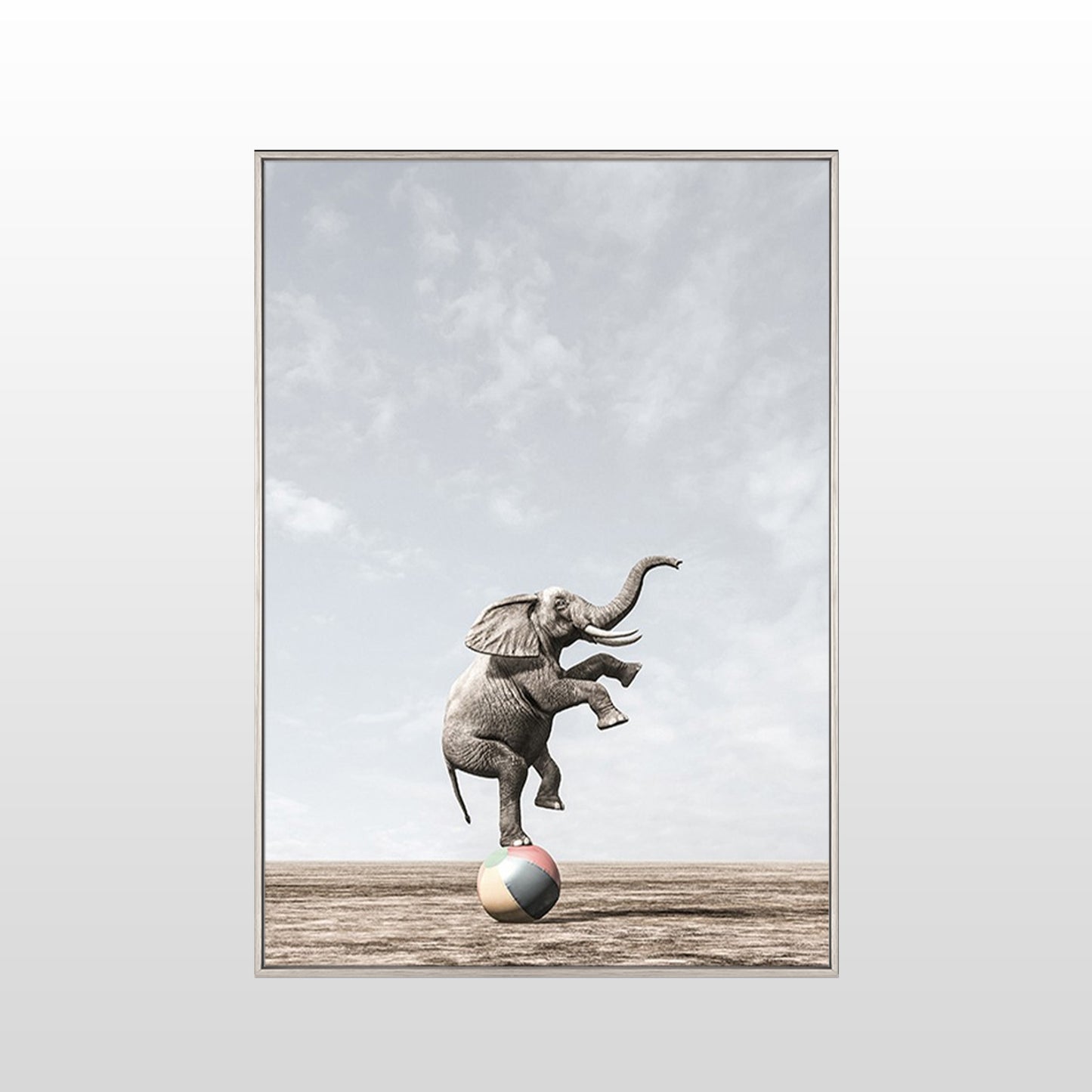 Circus