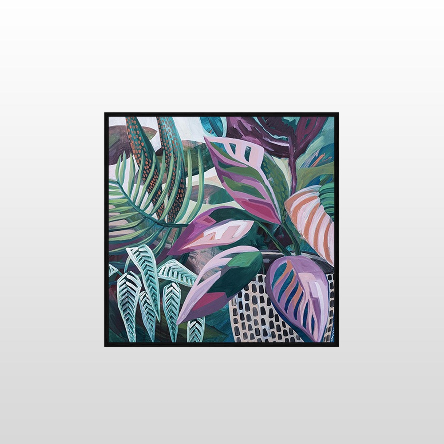 Daintree