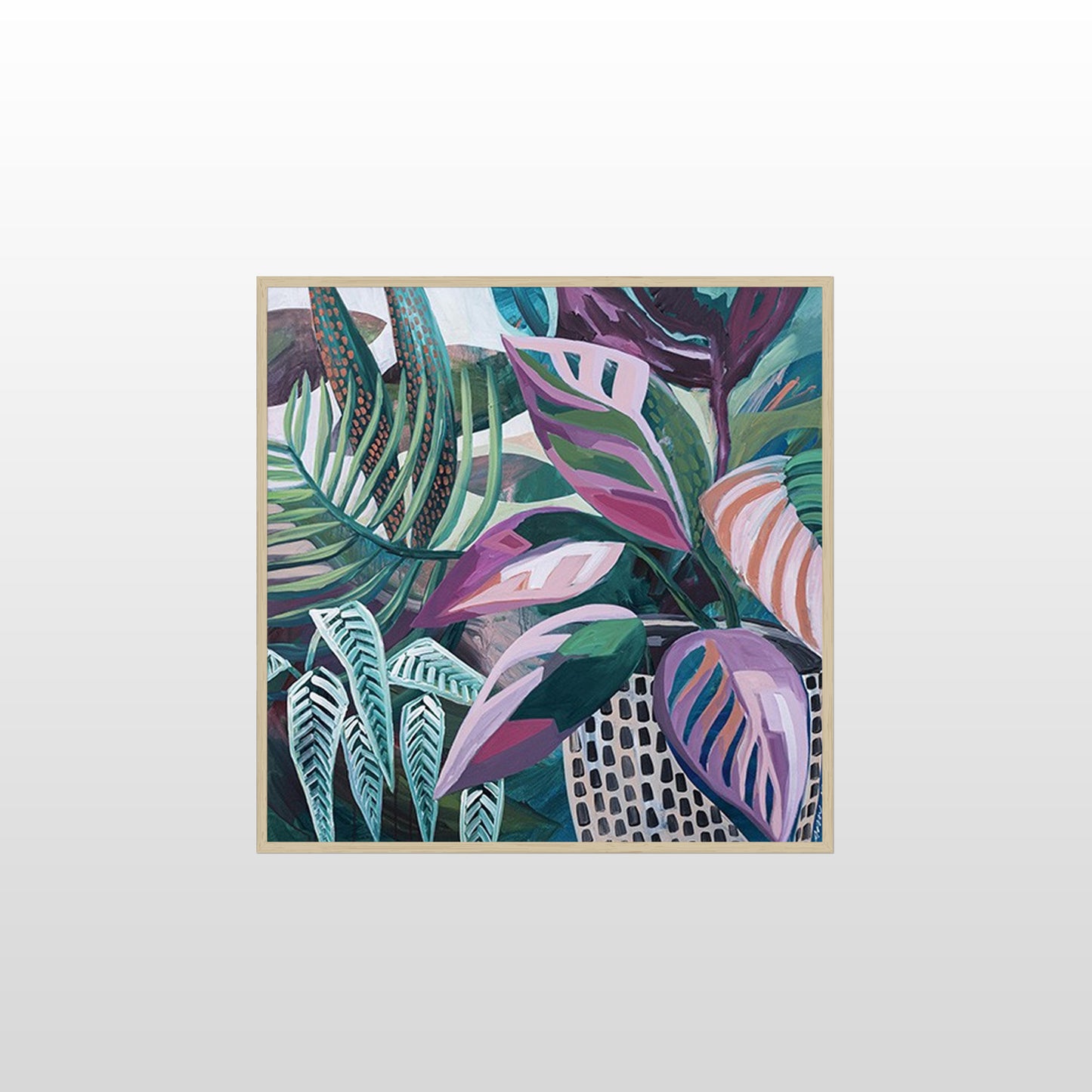 Daintree