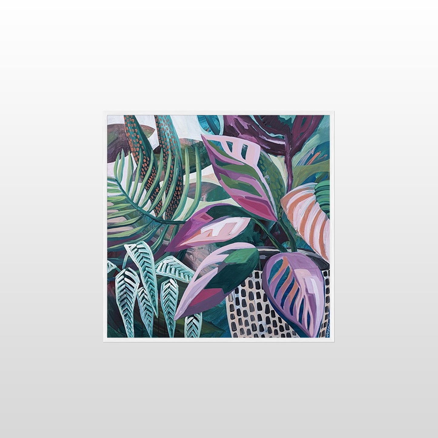 Daintree