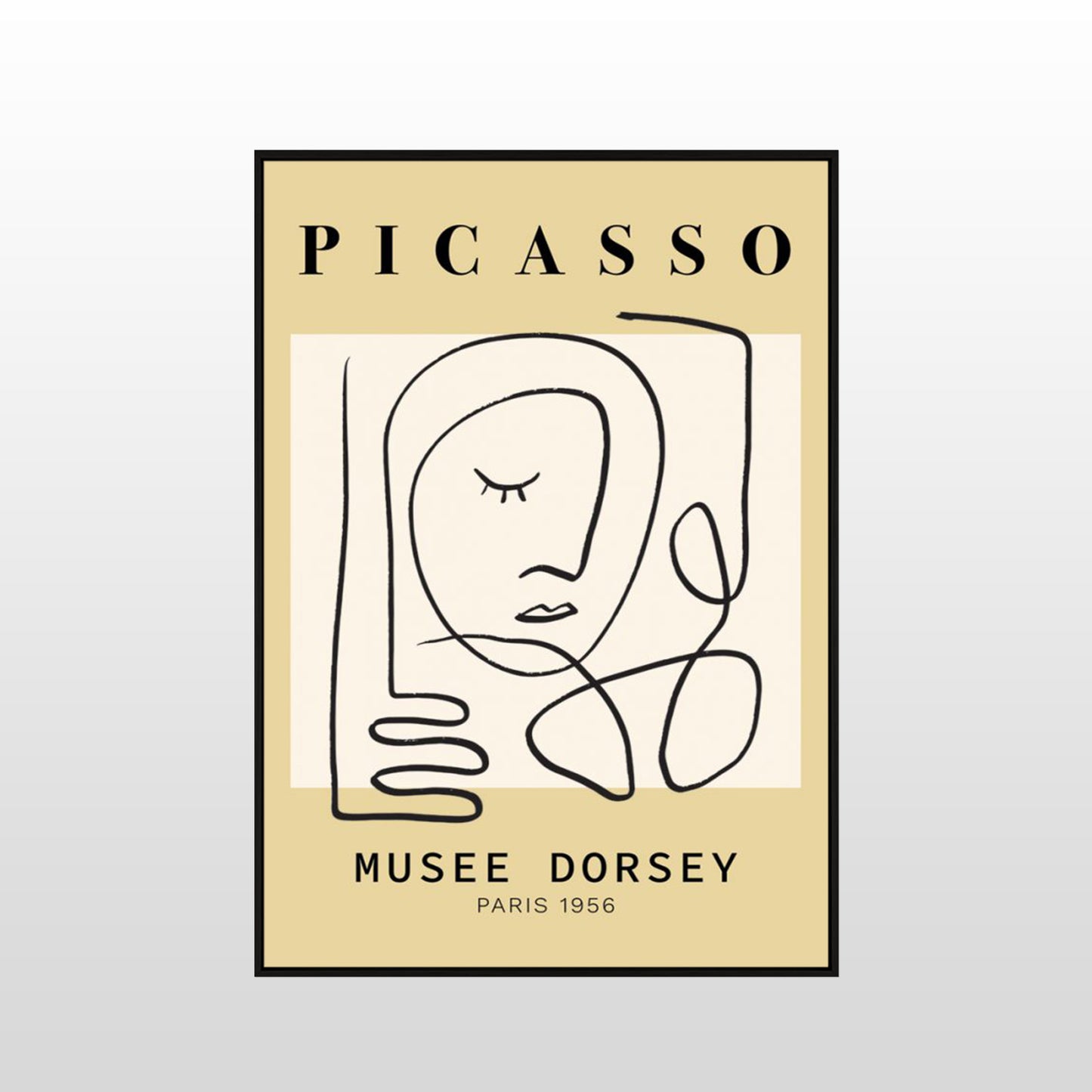 Picasso 56