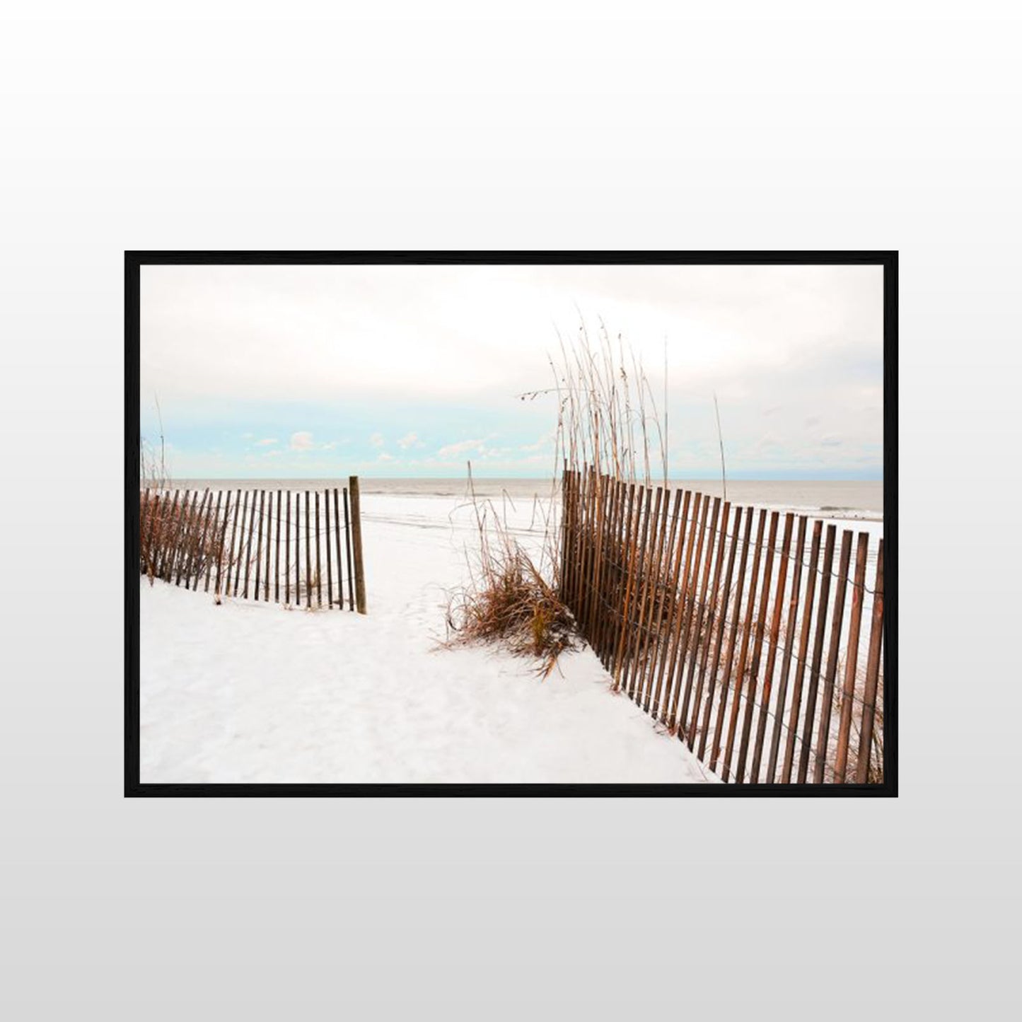 Beach Gate