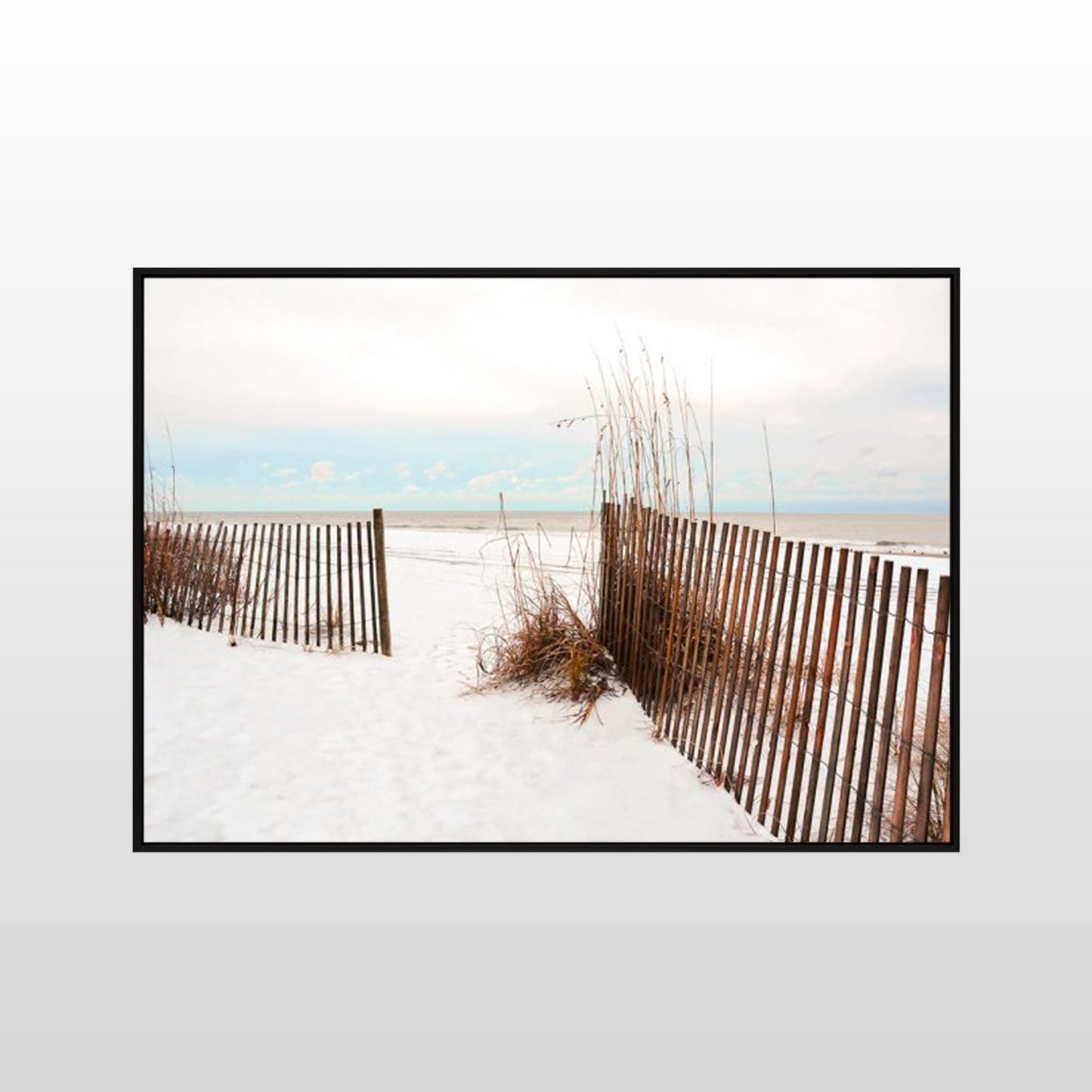 Beach Gate
