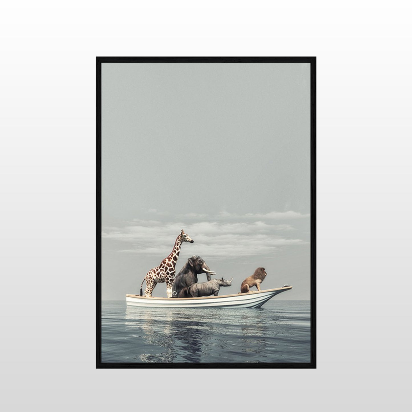 Life of Pi