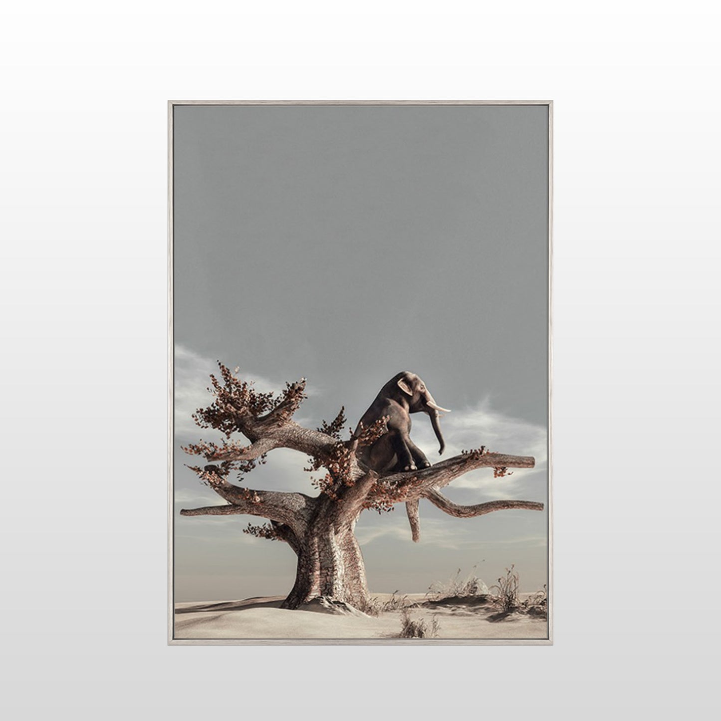 Serene Elephant