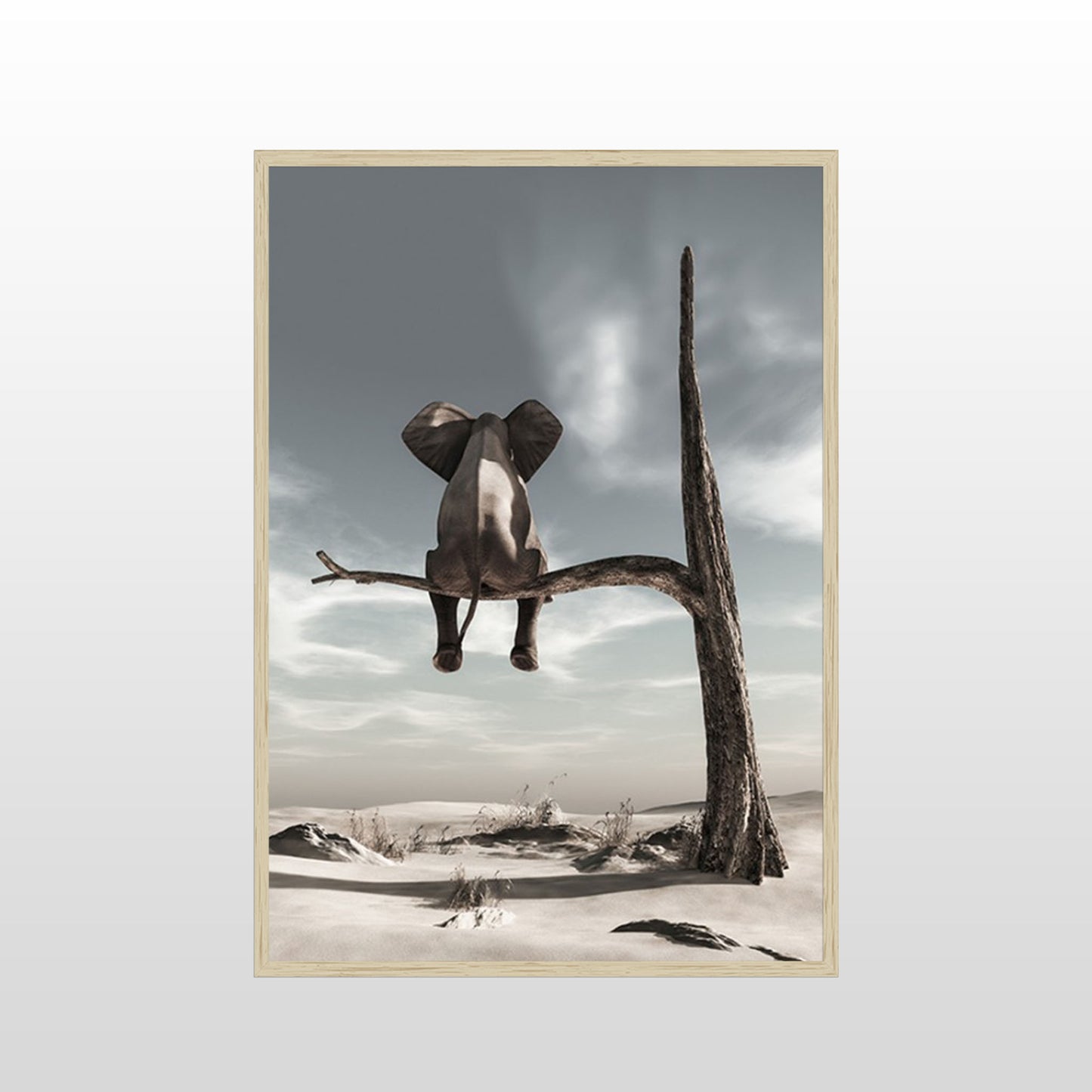 Solitary Elephant