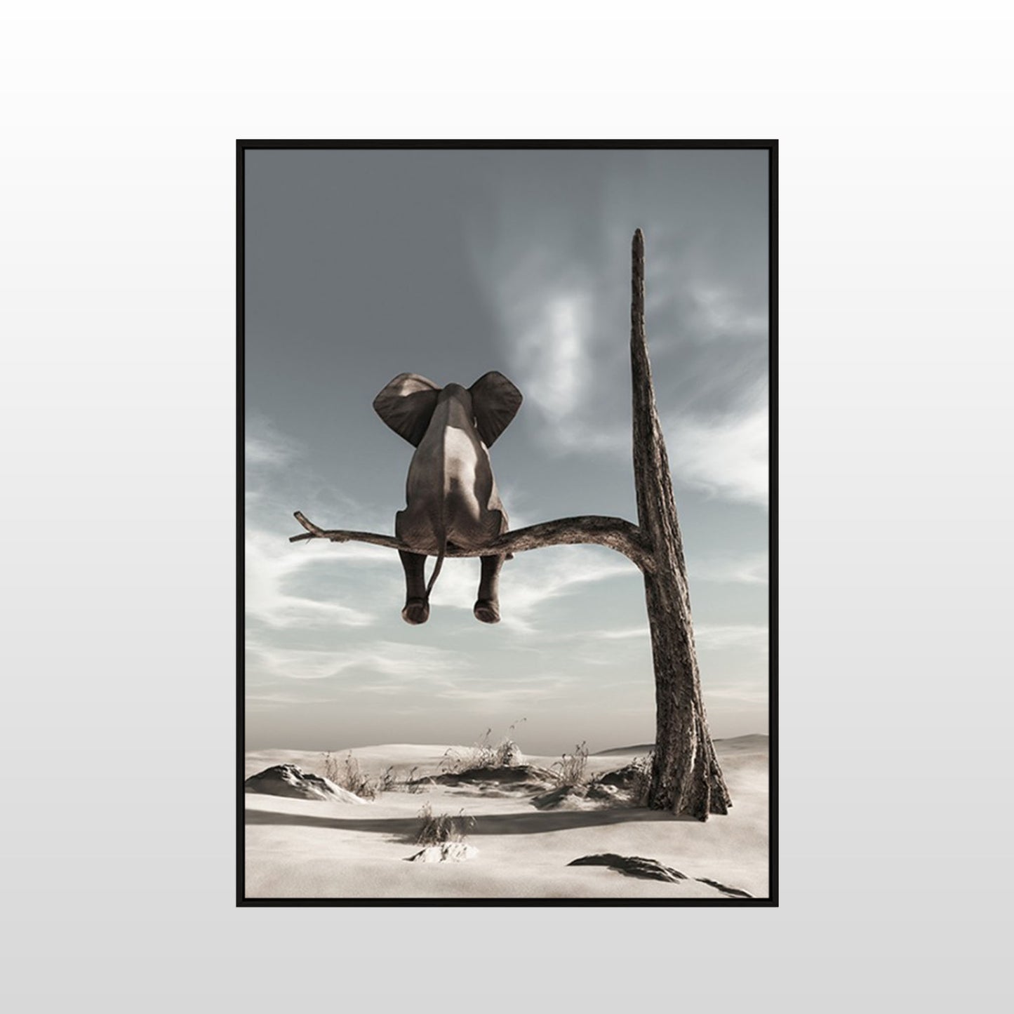 Solitary Elephant