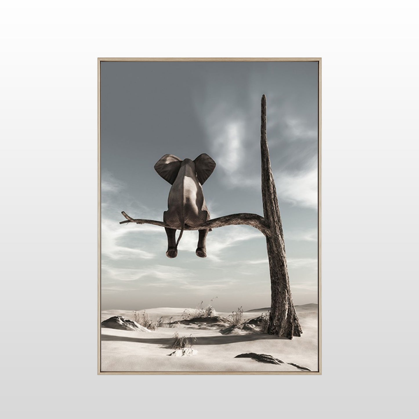 Solitary Elephant