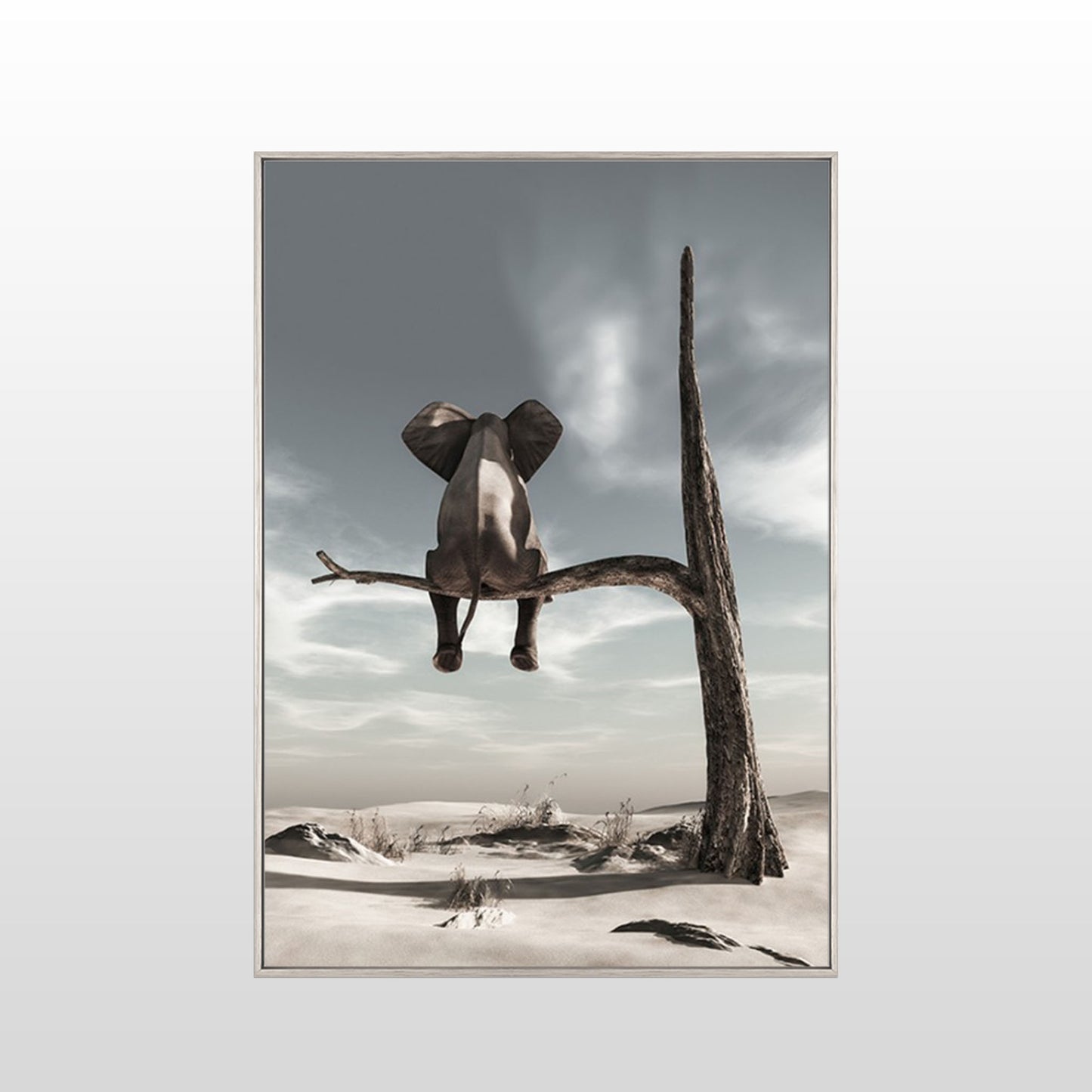 Solitary Elephant