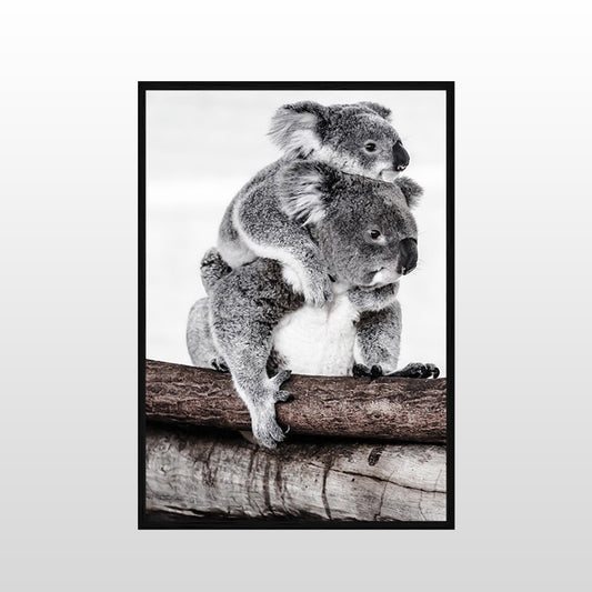 Koala Love