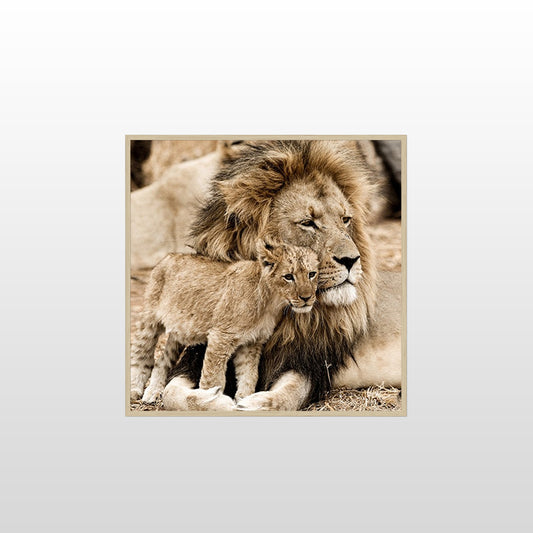 Lion Love