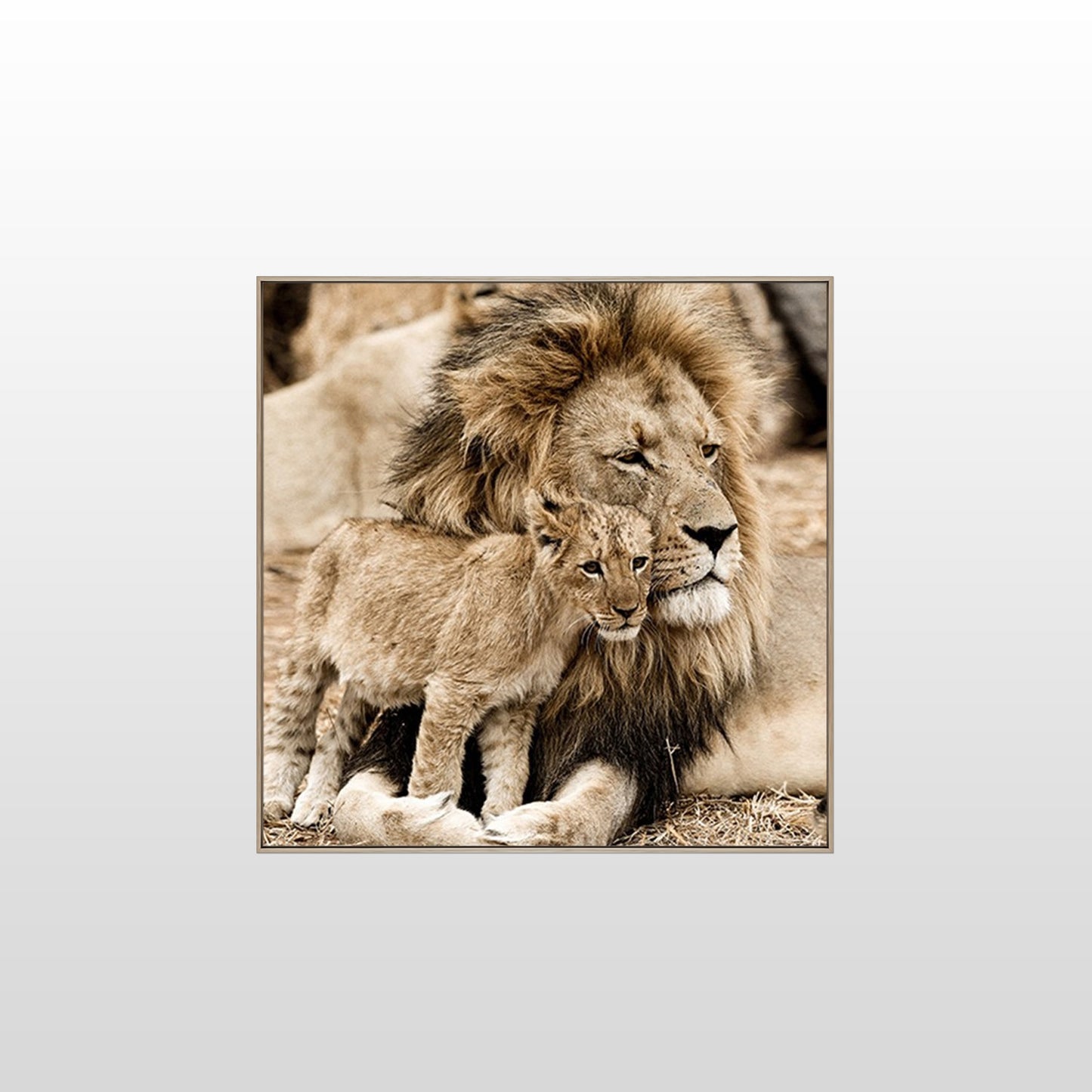 Lion Love