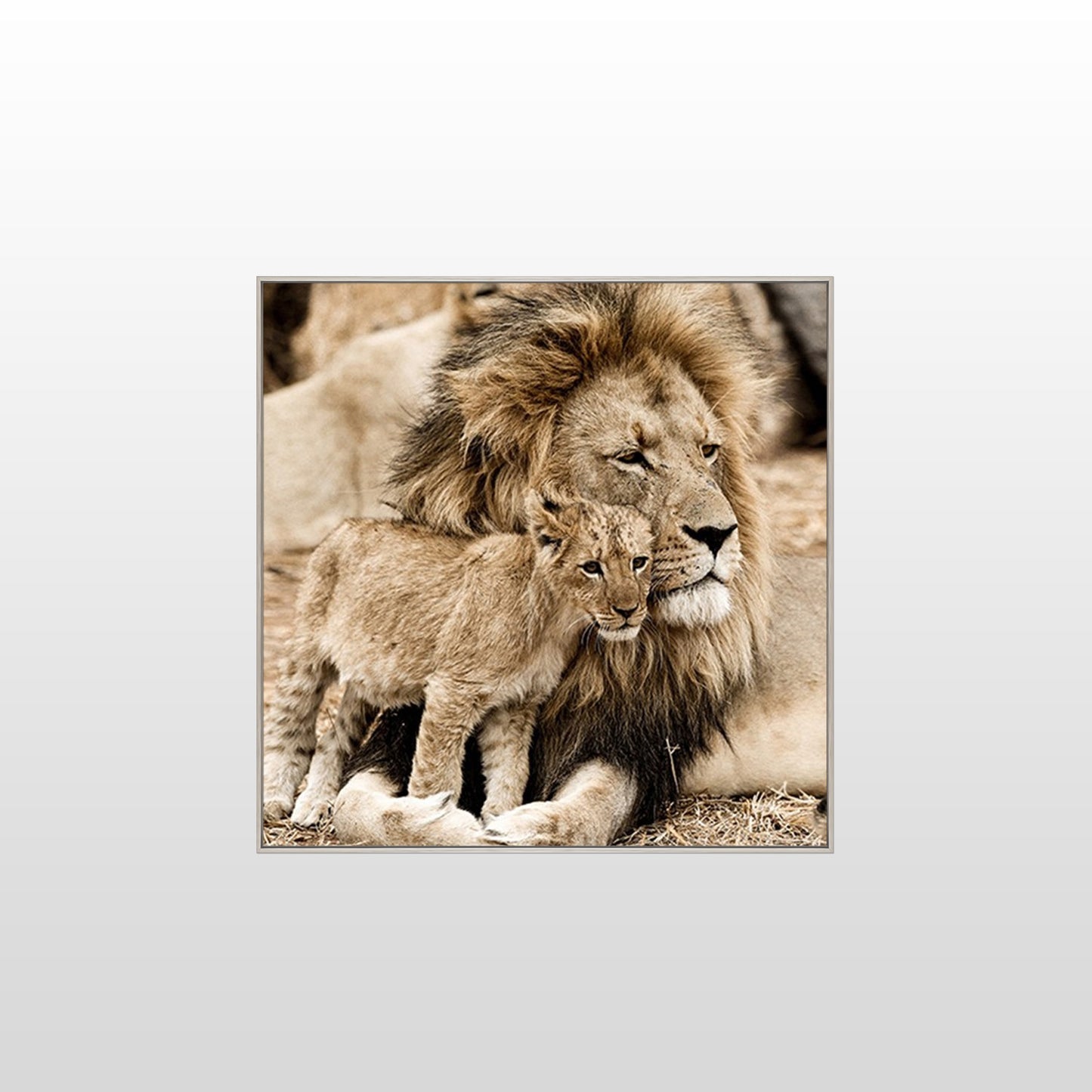 Lion Love