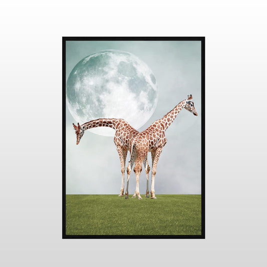 Two Giraffes