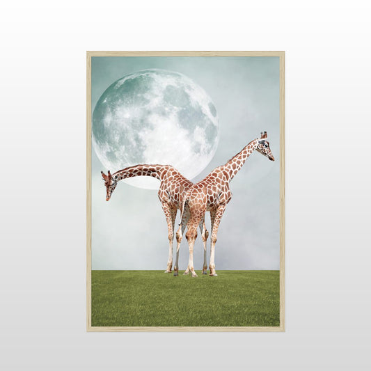 Two Giraffes