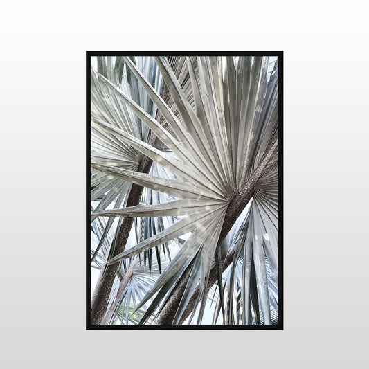 Palm Effect